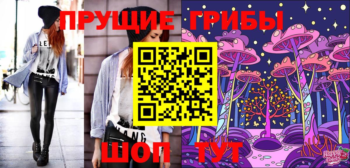 Псилоцибиновые грибы GOLDEN TEACHER  продажа наркотиков  Вход с VPN  Шали  Галлюциногенные грибы мицелий 
