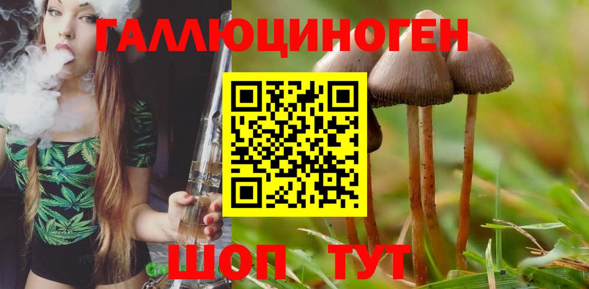 Галлюциногенные грибы MAGIC MUSHROOMS Шали